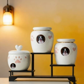 茶叶罐;茶杯;茶具套装
