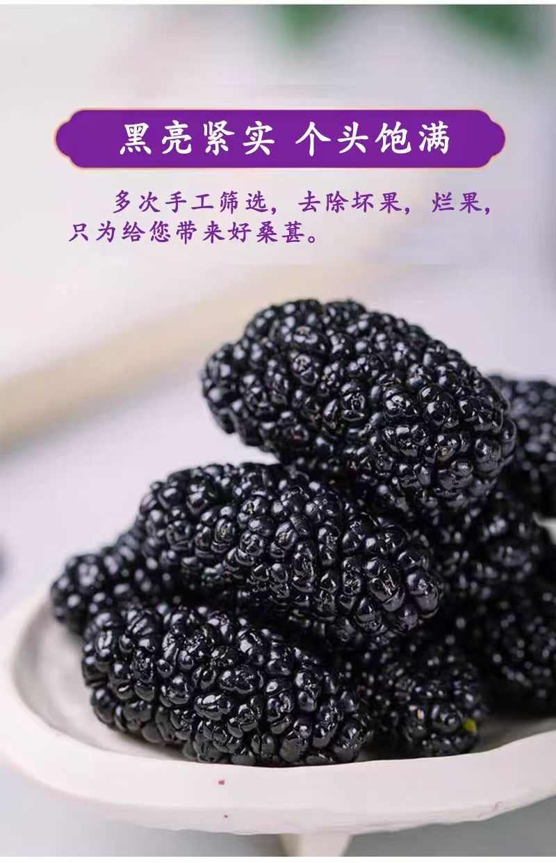 Dried Mulberry Fruit Sang Shen Zi 180g Jar Ready to Eat Snack for Daily Herbal Tea and Wellness quality and texture