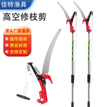 ���P䓸߿�ժ������s���L��֦䏼���֦ˮ���@ˇ����ʡ����֦��