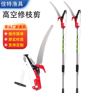 ���P䓸߿�ժ������s���L��֦䏼���֦ˮ���@ˇ����ʡ����֦��