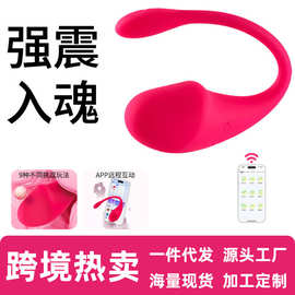 爆款女生小玩具批发 穿戴跳蛋遥控跳蛋静音性爱辅助工具成人用品
