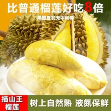 �S�ҹ���؈ɽ����ɏ��������r��ɏ�������ˮ�����lA�����r��ɏ