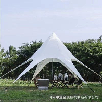 Single and Twin Peaks Lotus Flower — Avtomobil yan çətirləri