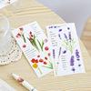 Sticker, creative plant lamp, waterproof decorations, stickers, scheduler