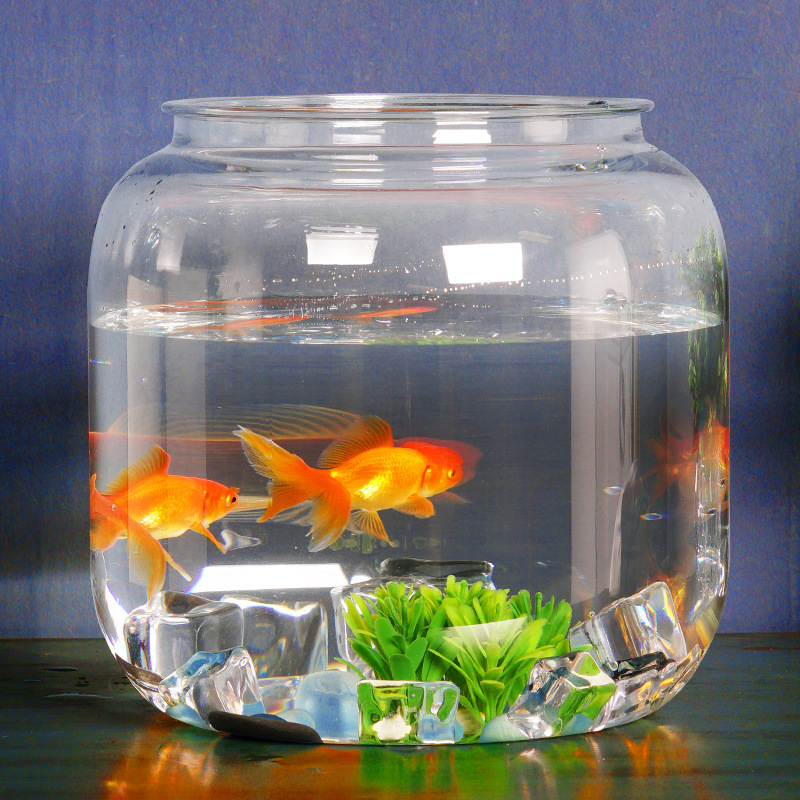 Creative plastic acrylic transparent aquarium