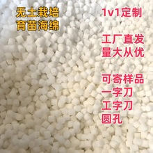 �S�����l�����и�o�������o���Nֲ�d�¿���������߲�diyˮ��d