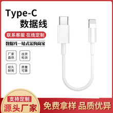 PD10cm�ptype-c��는�����0.1mC��C/C��L�A��10cm�̳�̳����b