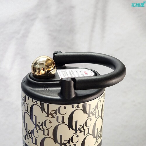Thermos cup for girls with good looks ins straw 2024 new 304 stainless steel liner small and portable handheld water cup