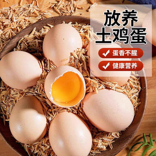 �u�����l���µ�_������30ö�r��ɢ�B�����u�����r�F�����u��