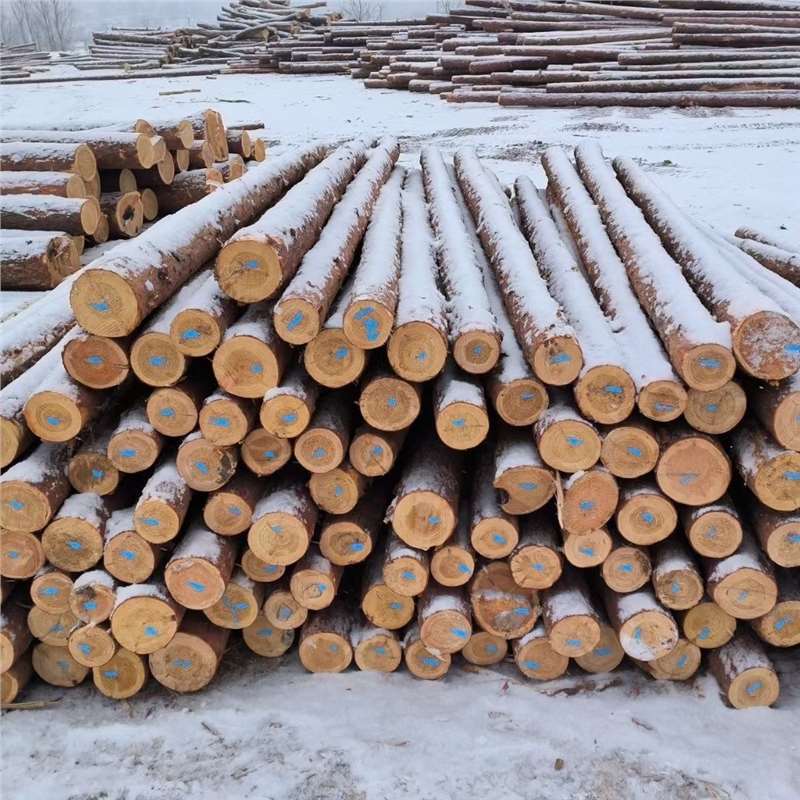 江西赣州河道打桩木杉木桩工程绿化支撑杆落叶松油松户外防汛带皮