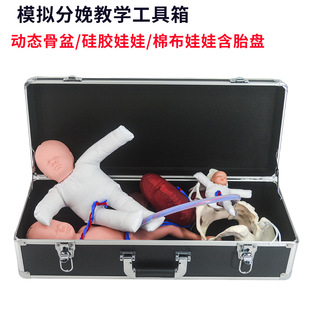 Female Delivery Pelvic Model with Fetal Umbilical Cord and Placenta Simulates the Delivery Process and Dynamic Female Pelvic Teaching Aids
