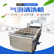 气泡式果蔬清洗设备李子杏子翻浪式清洗机西梅青梅喷淋式洗果机器