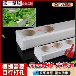 PVC方形管pvc种植蔬菜水培管无土栽培阳台种植水耕管自由打孔定制