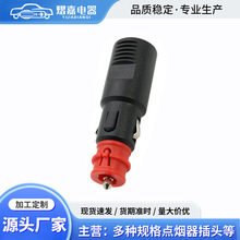 12V/24V܇dc^ ABSʽt^c^ SҹԴ܇܇