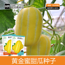 厂家批发黄金蜜甜瓜种子黄皮香瓜种籽薄皮甜脆春秋夏季水果种孑籽