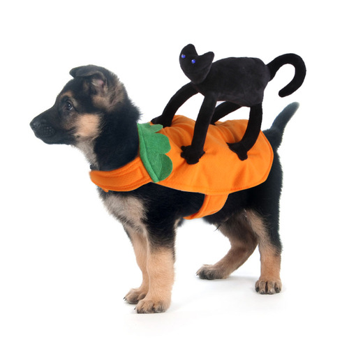 Z Pet Cowboy Riding Transformation Costume Pet Costume Cospaly Halloween Dog Clothes