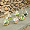 Creative brand transparent glossy realistic jewelry, set for gazebo, decorations, layout, micro landscape