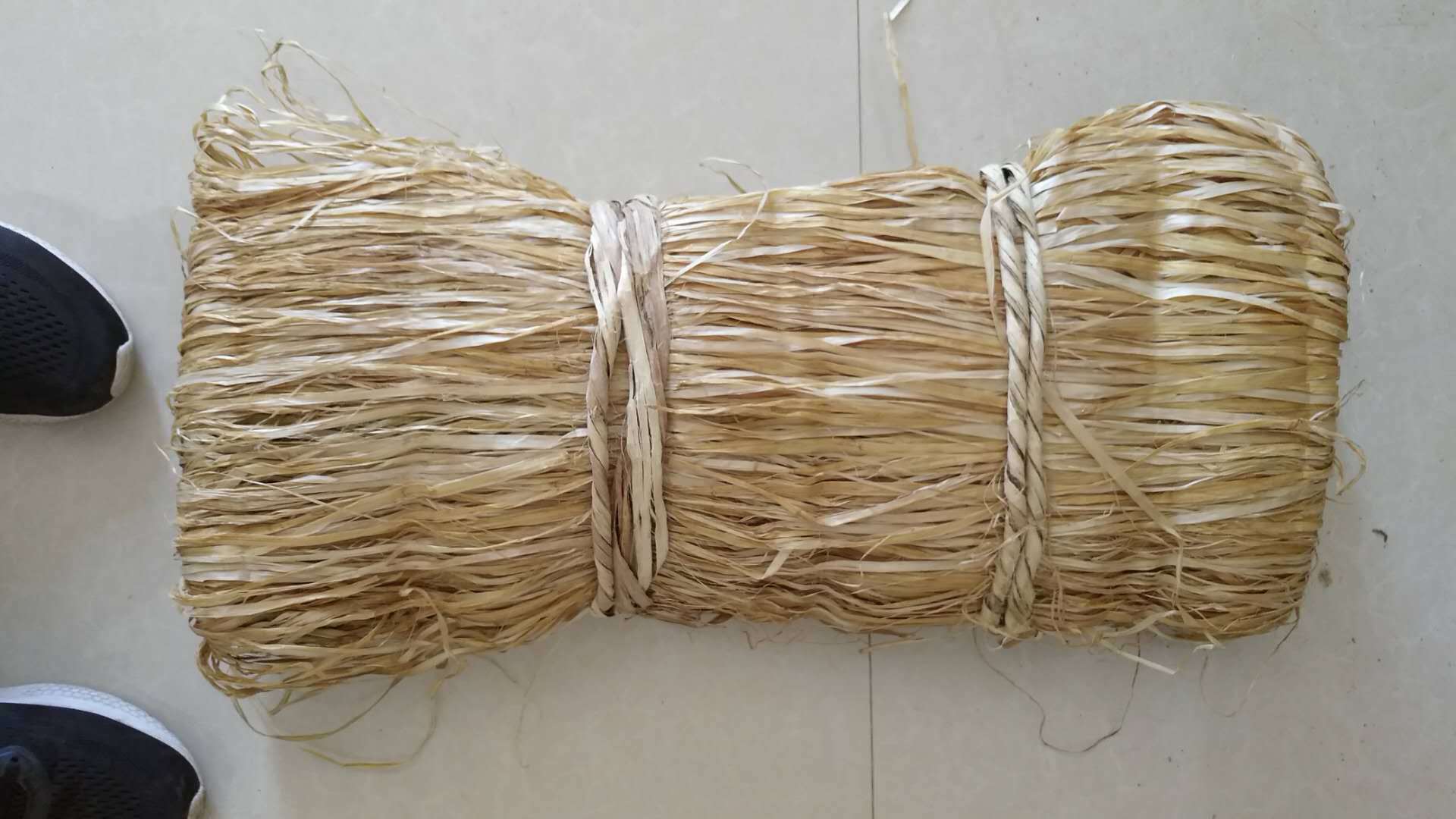 微信图片_20240309171043