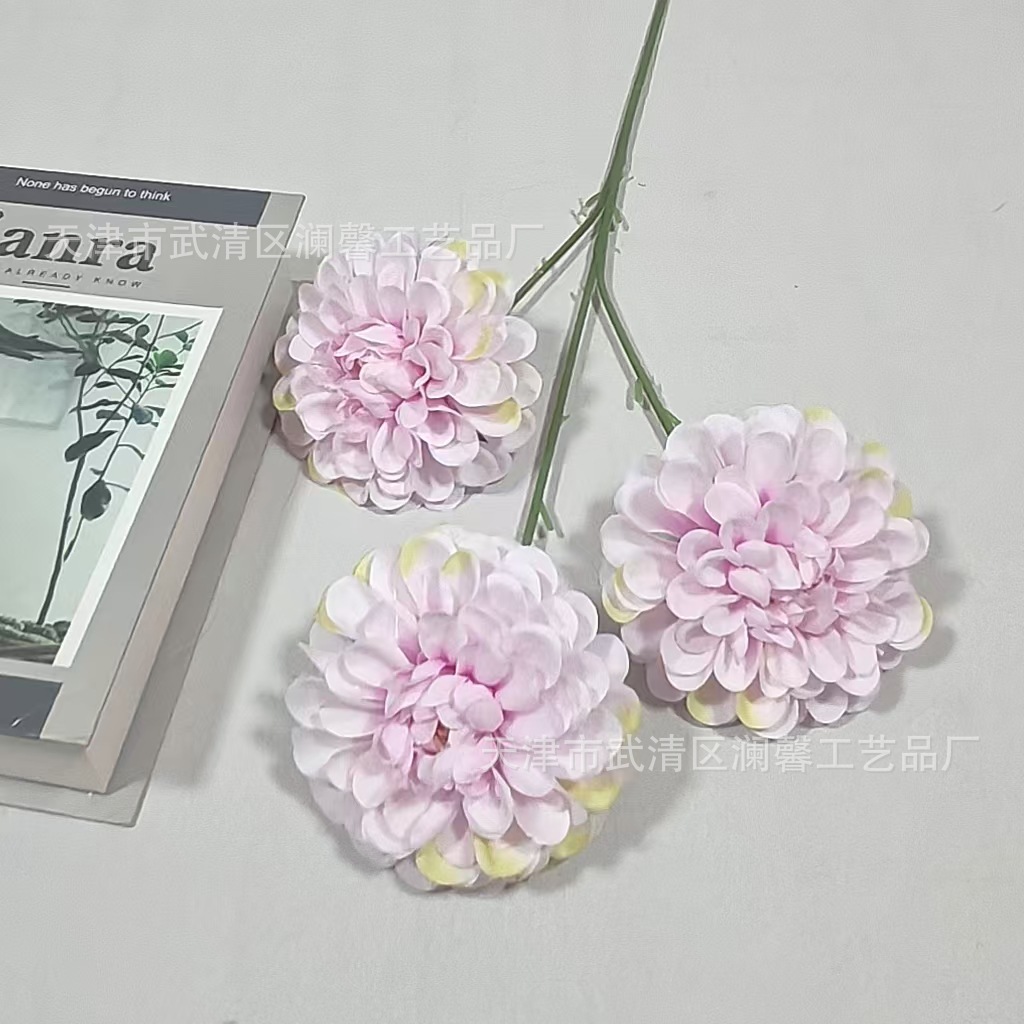 밝은 보라색