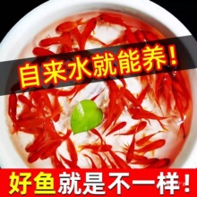 ���N�Pβ��t�ݽ��~С�\����ˮ�^�p�~����B�ͻ��ԁ�ˮ��ˮ���~��