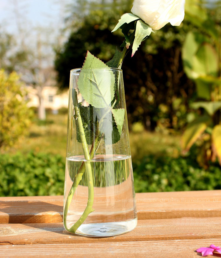 Florero de cristal decoración de la sala de estar florero hidropónico florero de cierre