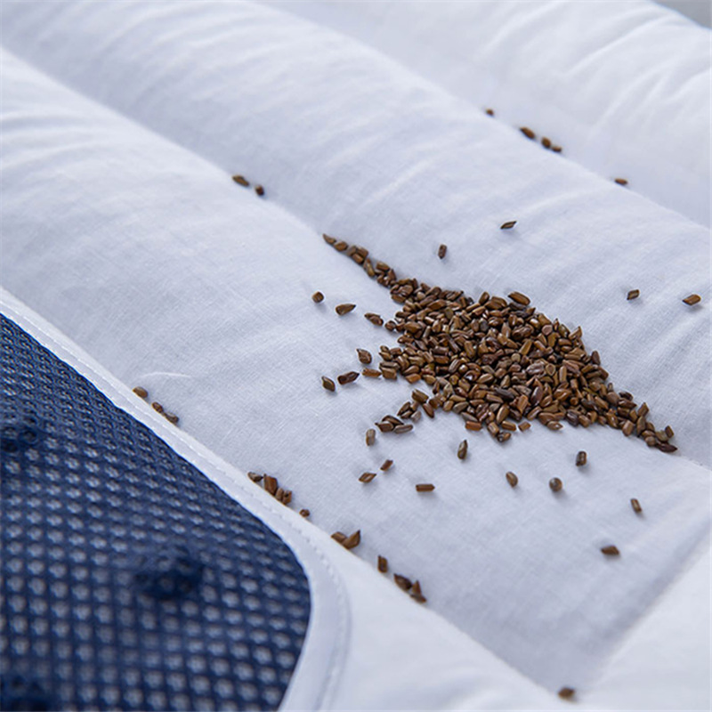 活动全棉决明子磁石枕头 荞麦成人枕助睡眠低枕养生 纯棉保健枕芯