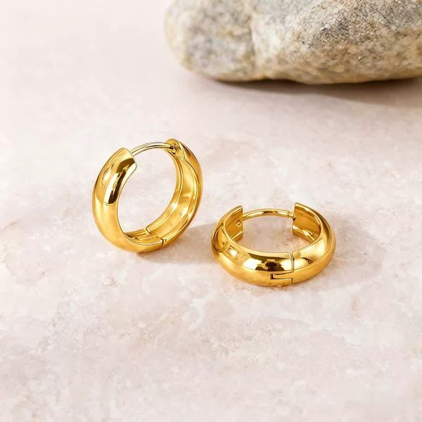 New Style Plain Hoop Earrings for Women, Light Luxury and High-End Feel, Factory Direct Supply, Elegant Design, High-Quality Earrings