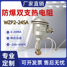 ���������WZP2-24SA�̶��ݼy-200~500��߾���pt100�ضȂ�����