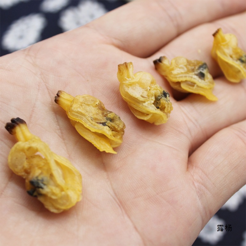 无沙花蛤干蛤蜊干500g福建产蛤蜊肉文蛤花甲干蚬子肉海鲜干批发