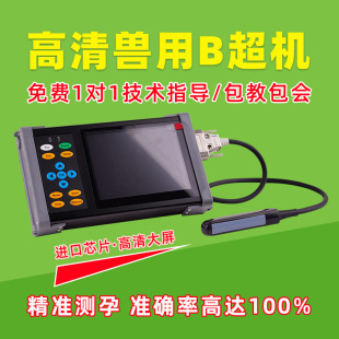 b���C�F��ĸţ�R���\���x������Йz�y�C����yB���C�Bֳ�ó���
