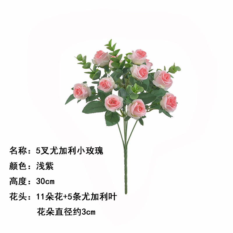 5 포크 유칼립투스 작은 로즈 라이트 파우더