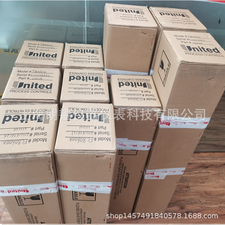 热电偶马拉松碳王 (Carbon King)氧探头TW08010热处理专用探头