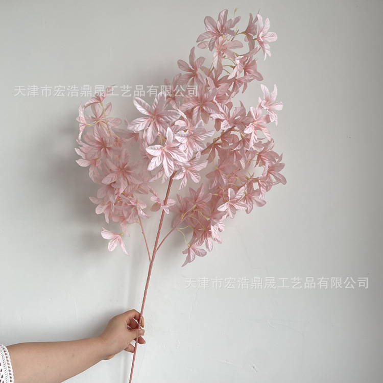 微信图片_202208191624352_副本