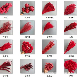 �������tɫϵ�������R�ɽ��~�ֹ�DIY������ʽ���û�c�b�