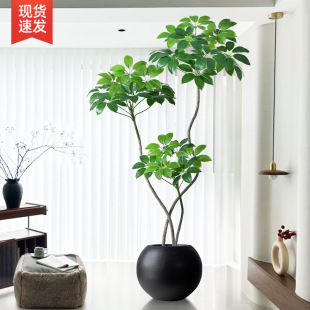 ����Gֲ�҃����Դ��~��͏d��������b[���߶��p�ݷ�����ֲ��