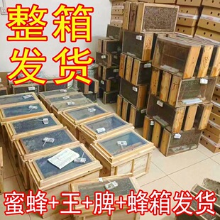 �۷䎧�����A��Ⱥ���l���ӳ��۷��������з�\���һ����ȫ��