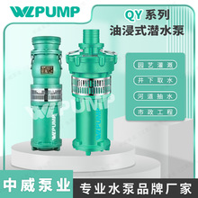 QY干式潜水电泵中威品牌产品WLPUMP