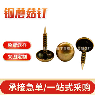 Factory hot sale recommend copper mushroom nail Guangdong mushroom nail wholesale