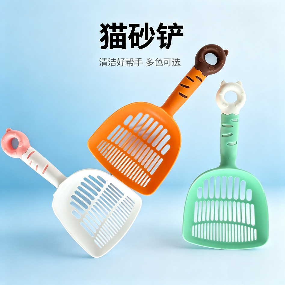微信图片_20260608152155_586_4