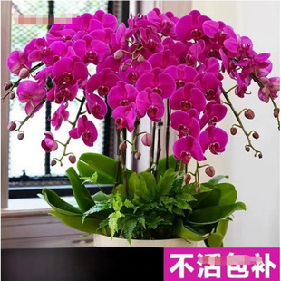 �����m���Ԏ������ﶬ�ͺ��r���ܾGֲ���҃��m������׻��ļ��_��