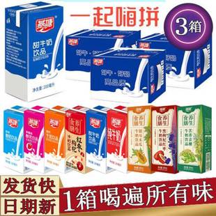 ������ţ��200ml/36�������bԭζ����ݮ���}�t����轼�ţ��12��