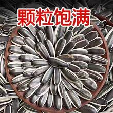 ԭζ����Ӵ��l���ӿ�������؛�����خa��؛ɢ�b��ʳ