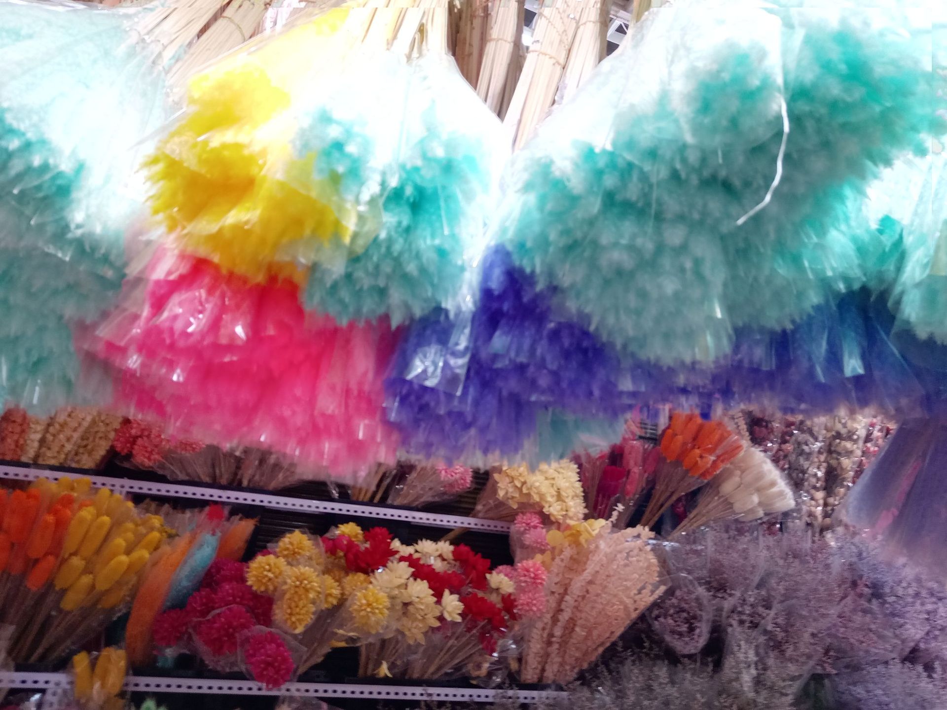 微信图片_202303291539373