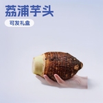 广西荔浦芋头农家种植现挖新鲜毛芋头/片/块可发礼盒切块头茬香芋