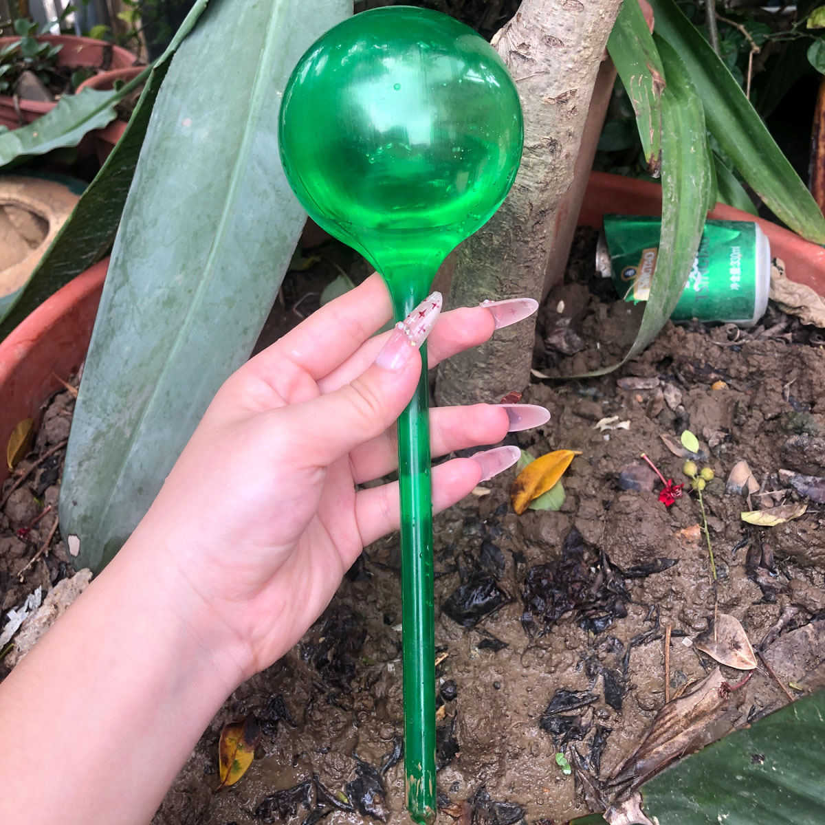 Plástico transparente verde larga bola riego de flores plantas en maceta riego perezoso riego de viajes goteo riego image 3