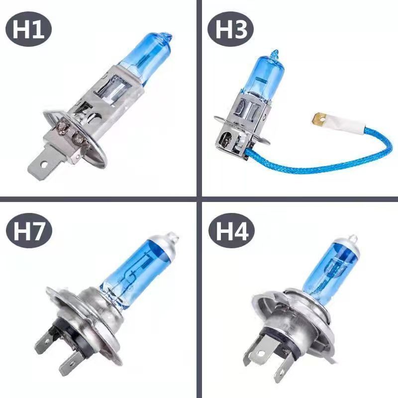 微信图片_20250627003516_89