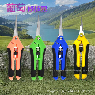 Factory direct stainless steel elbow pruning scissors pruning scissors gardening tools Fruit tree pruning scissors grape scissors