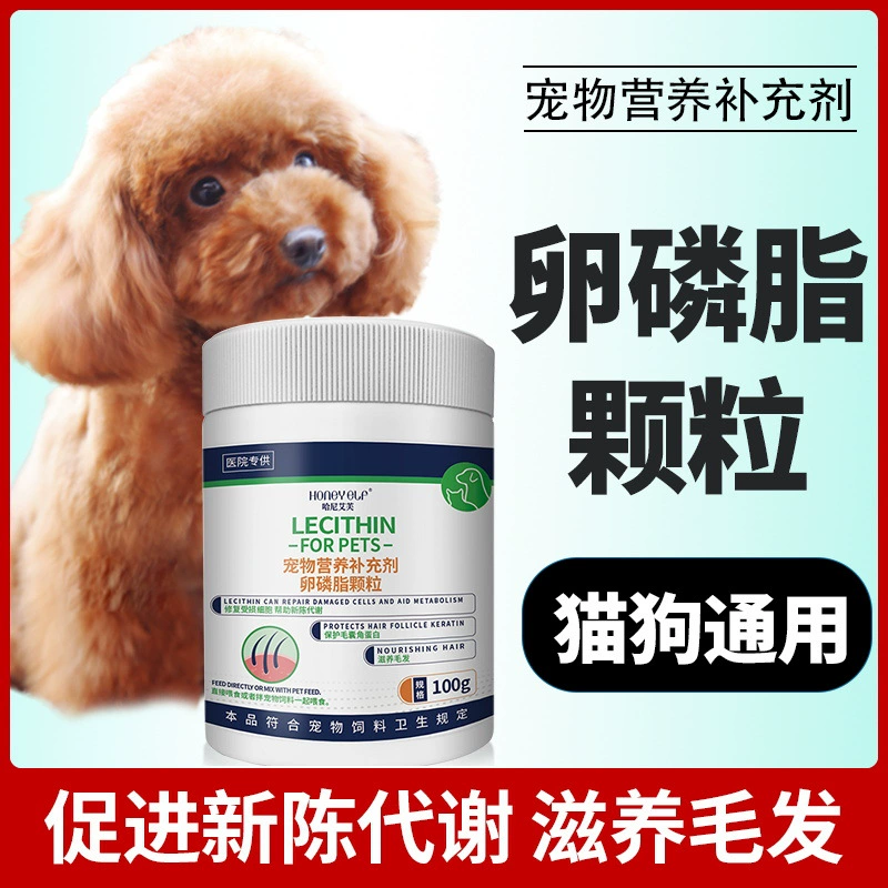 Собака Кошка Глубоководная Рыбий жир Мягкая капсула Кошка Собака Домашнее животное Лецитин лосося Масло