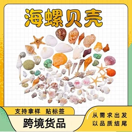 海螺/贝壳;沙石砾石;其他益智玩具