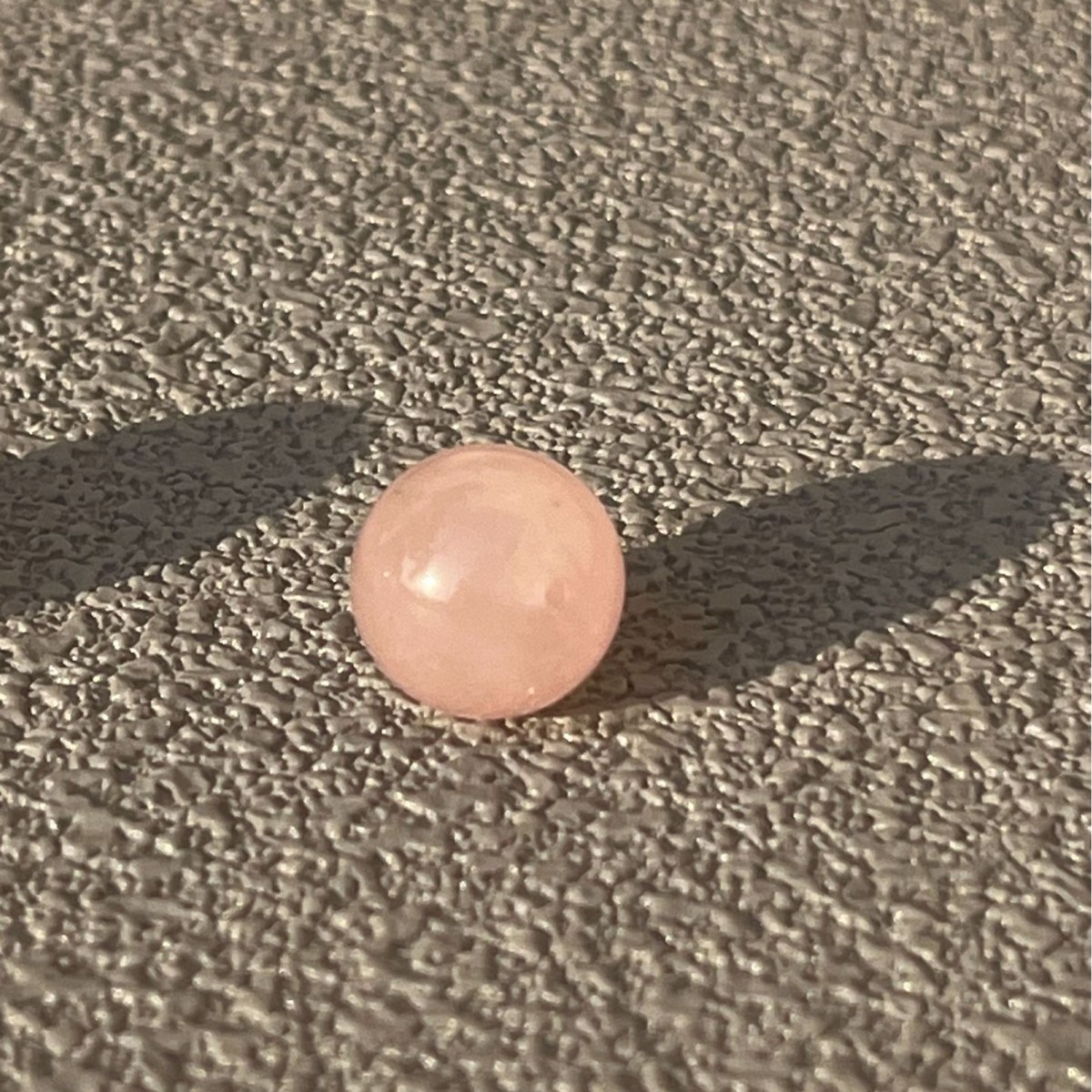 2025-02-24 13:11:52.jpg